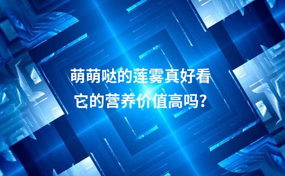 萌萌哒的莲雾真好看  它的营养价值高吗？